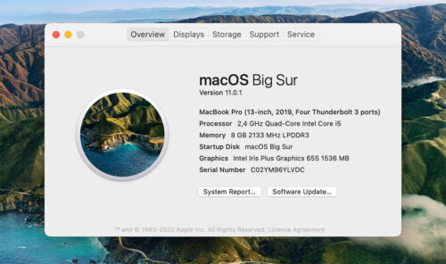 what macs get big sur
