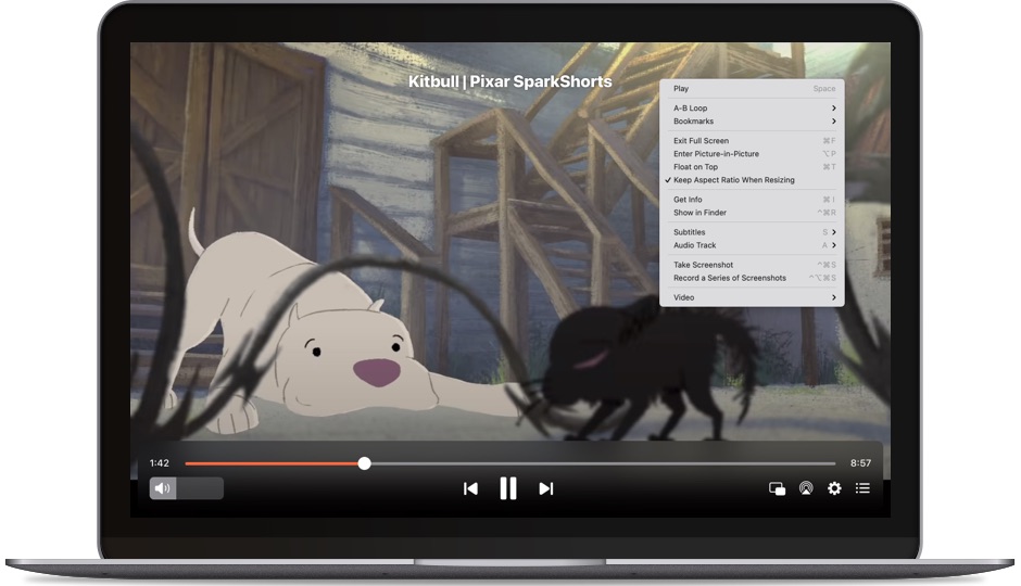 The best video playback apps for Mac - General Discussion