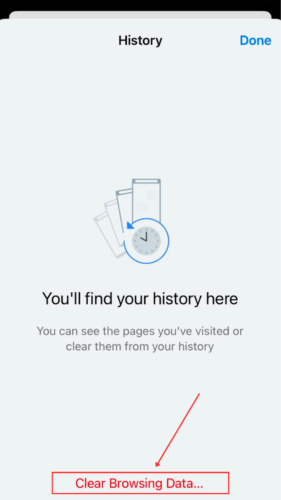 Select Clear Browsing Data in History