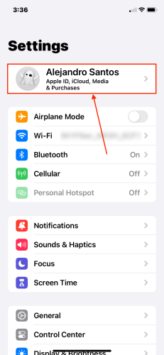 Apple ID button in the iOS Settings menu