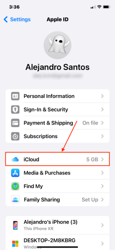 iCloud button in the Apple ID menu of the iOS Settings app