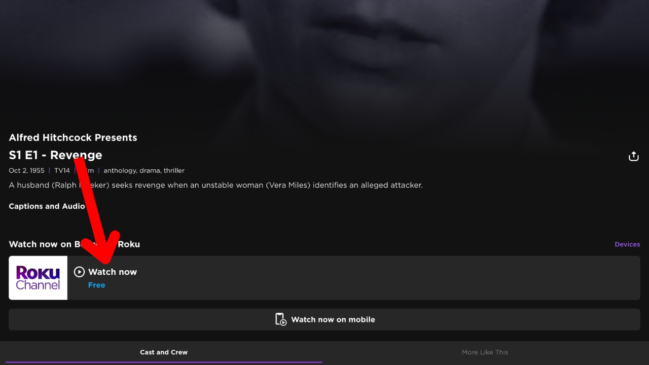 A screenshot of the Roku app's content options with a red arrow pointing to Play Now. A screenshot of the Roku app's content options with a red arrow pointing to Play Now.